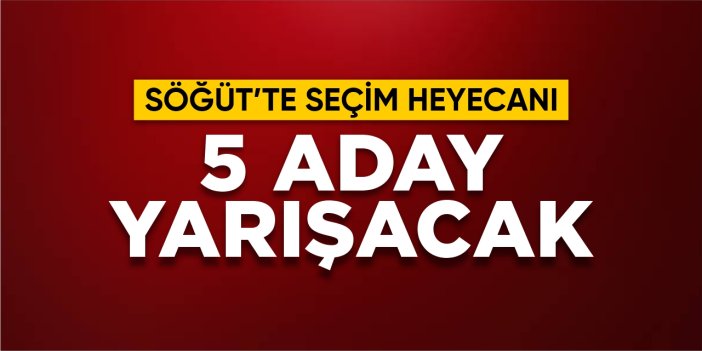 Söğüt'te seçim heyecanı