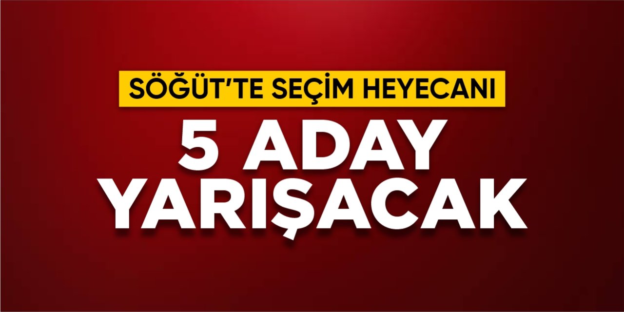 Söğüt'te seçim heyecanı