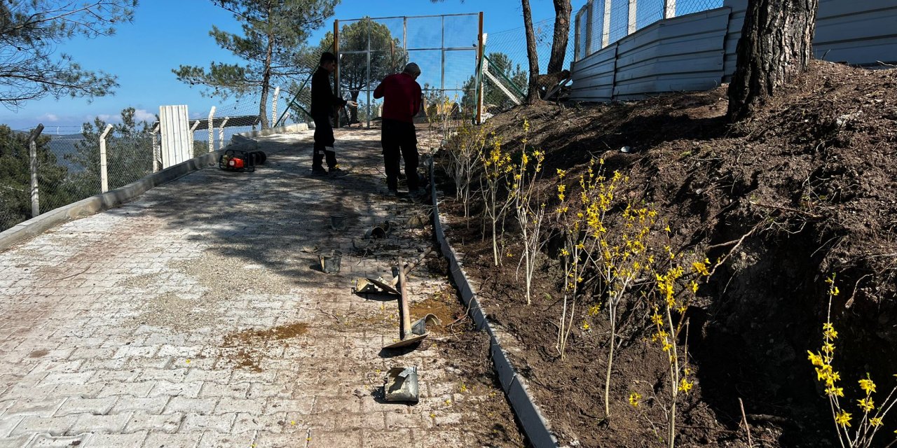 Bilecik'te bahar hazırlıkları başladı