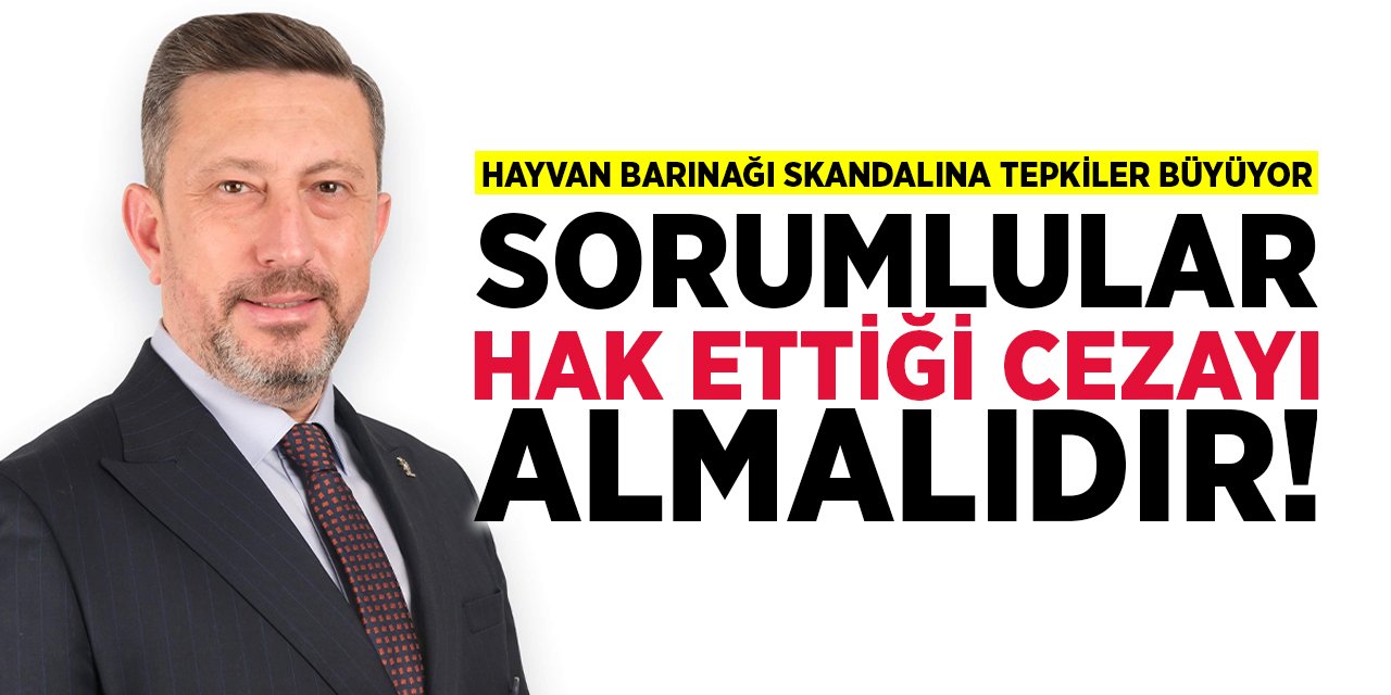 Hayvan Barınağı Skandalına Tepkiler Büyüyor: "Sorumlular hak ettiği cezayı almalıdır!"