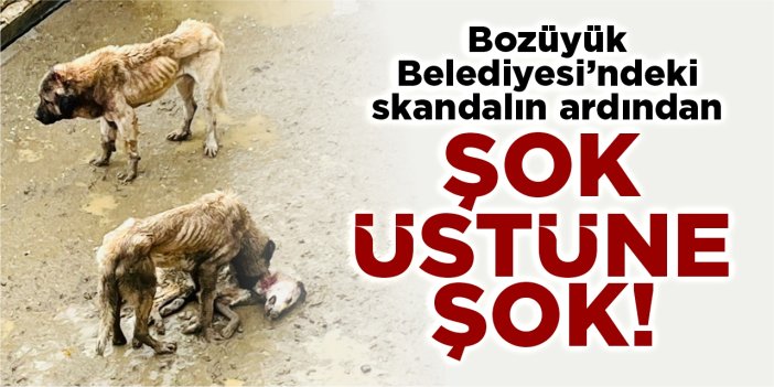 Bozüyük Belediyesi’ndeki skandalın ardından şok üstüne şok!
