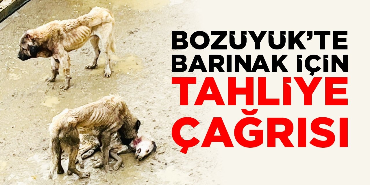 Bozüyük’te barınak için tahliye çağrısı!