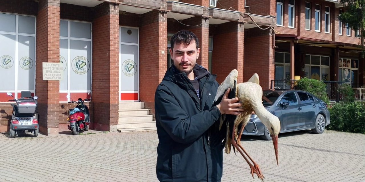 Yaralı leylek tedavi altına alındı