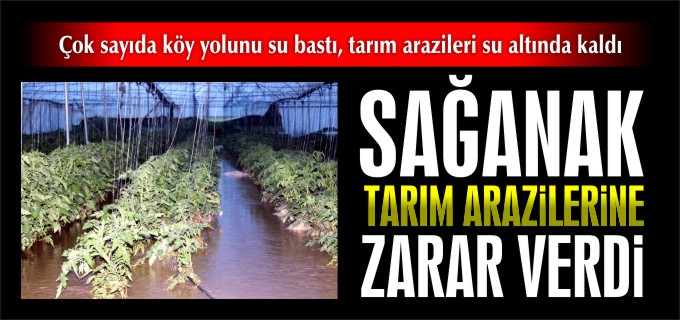 SAĞANAK TARIM ARAZİLERİNE ZARAR VERDİ
