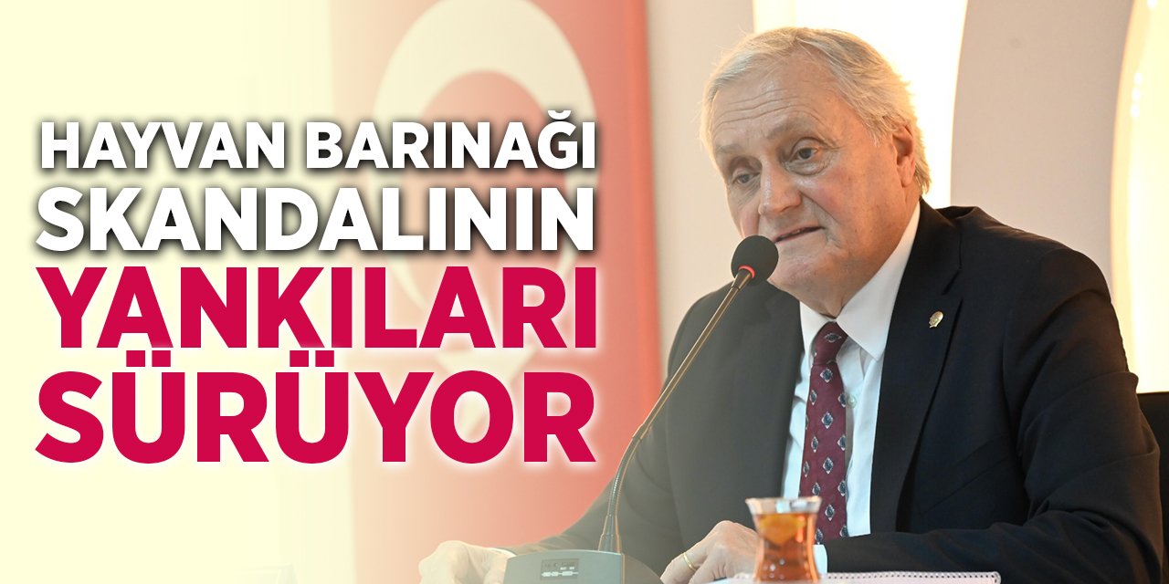 Hayvan Barınağı Skandalının Yankıları Sürüyor