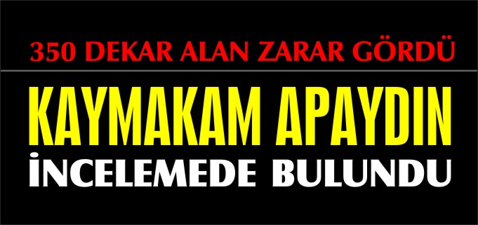 KAYMAKAM APAYDIN İNCELEMEDE BULUNDU