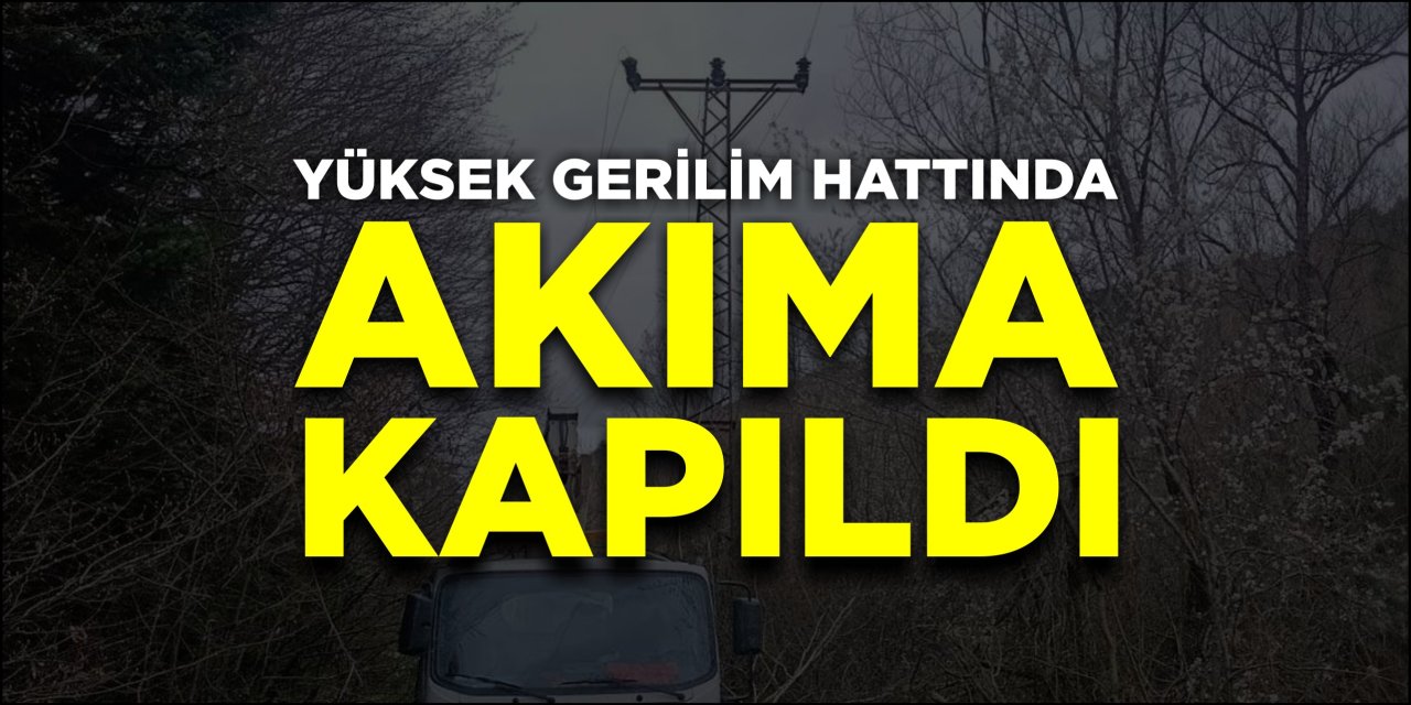 Yüksek gerilim hattında akıma kapıldı!