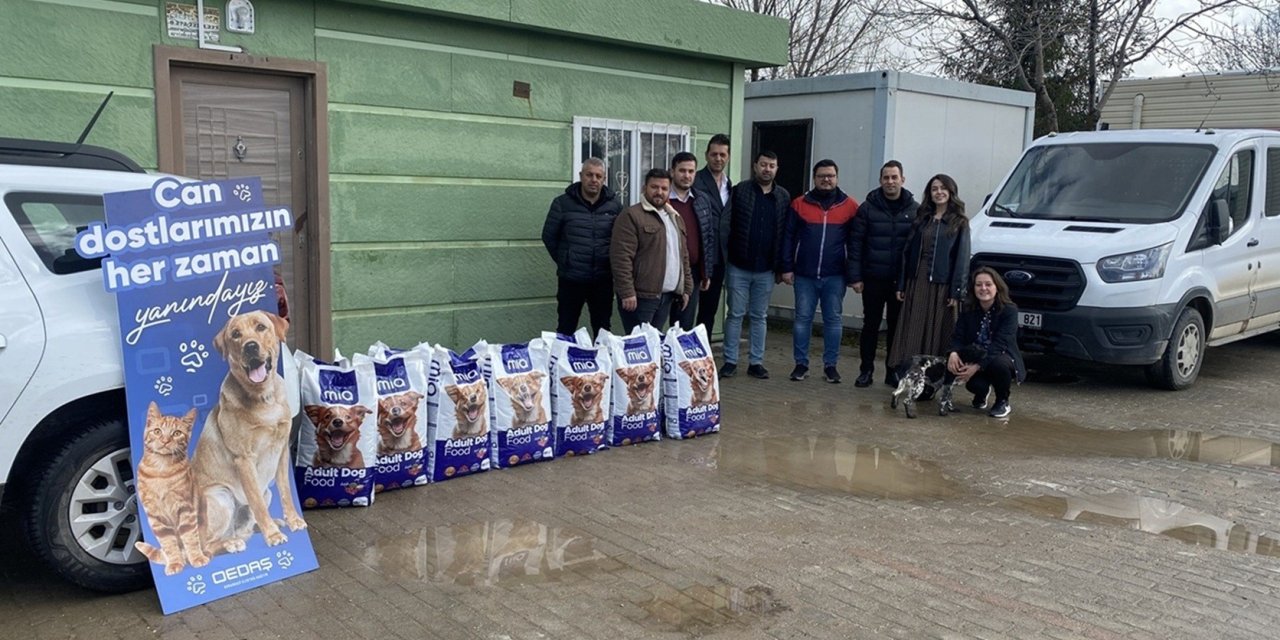 Beş yılda beş ilde 30 tonun üzerinde mama bağışı yapıldı