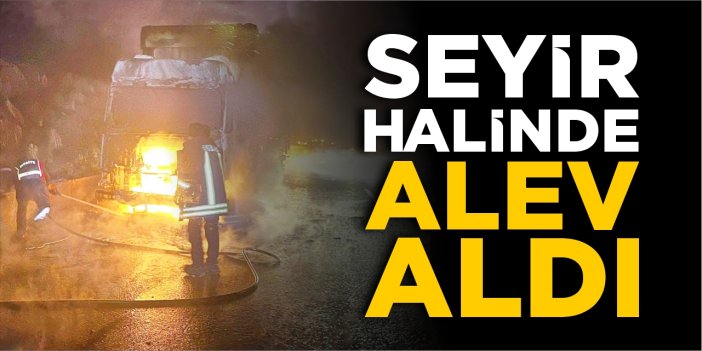 Bilecik'te seyir halindeki tır alev aldı