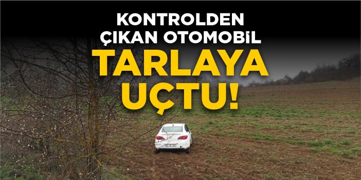Kontrolden çıkan otomobil tarlaya uçtu!
