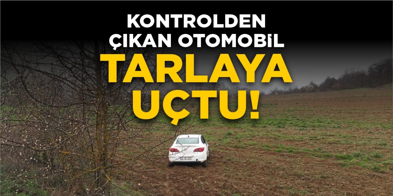 Kontrolden çıkan otomobil tarlaya uçtu!