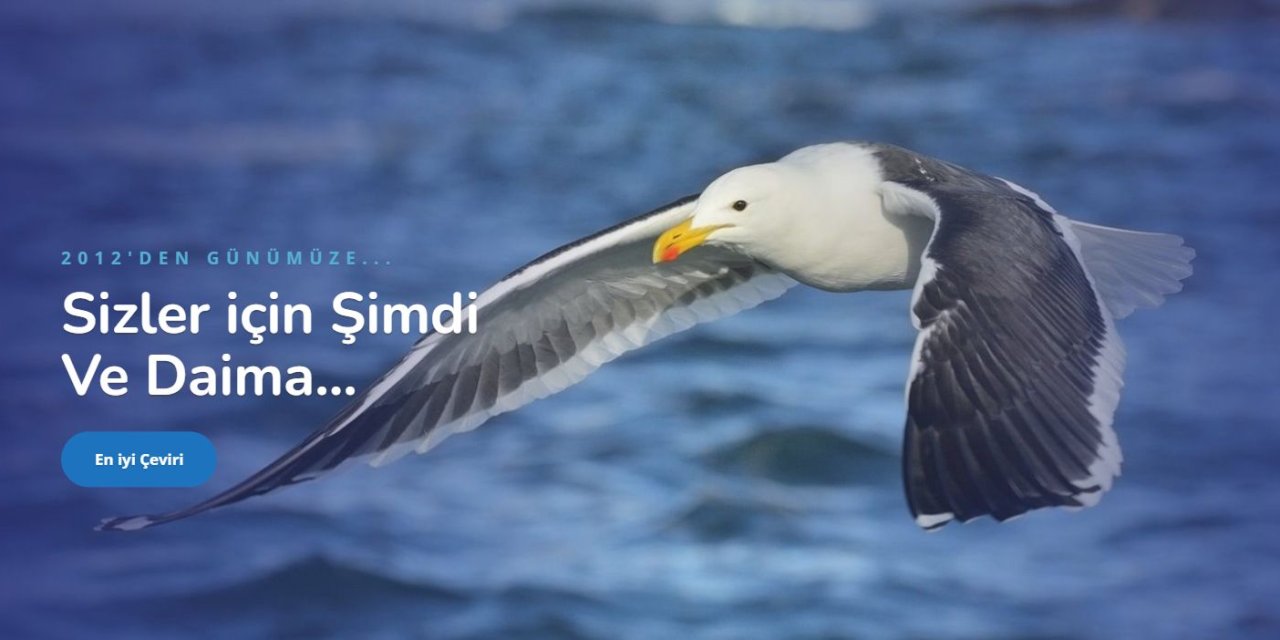 İngilizce Çeviri Fiyatları - Okeanos Tercüme Bürosu