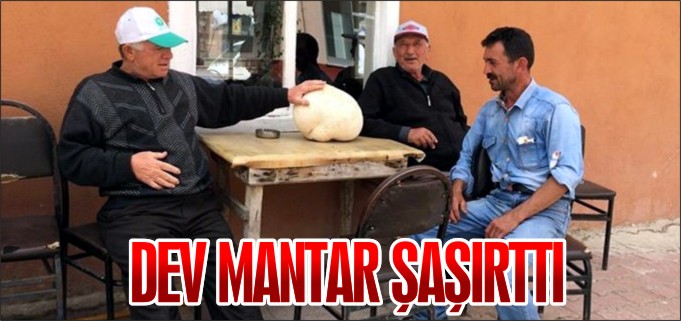 DEV MANTAR ŞAŞIRTTI