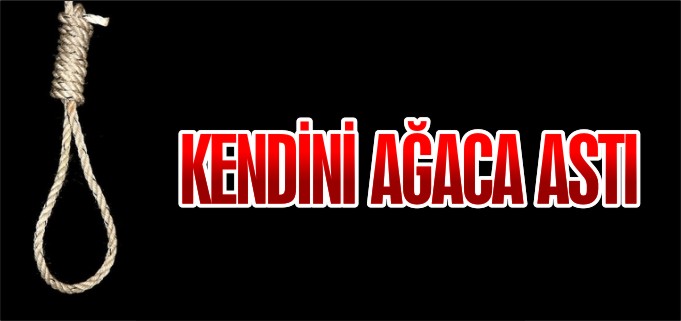 KENDİNİ AĞACA ASTI