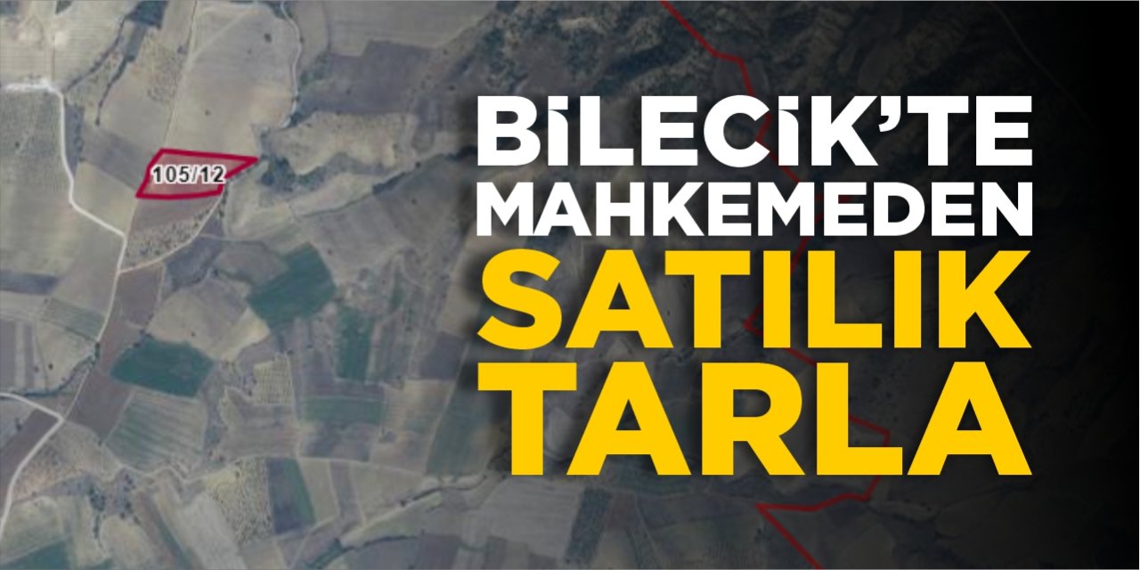 Bilecik’te mahkemeden satılık tarla