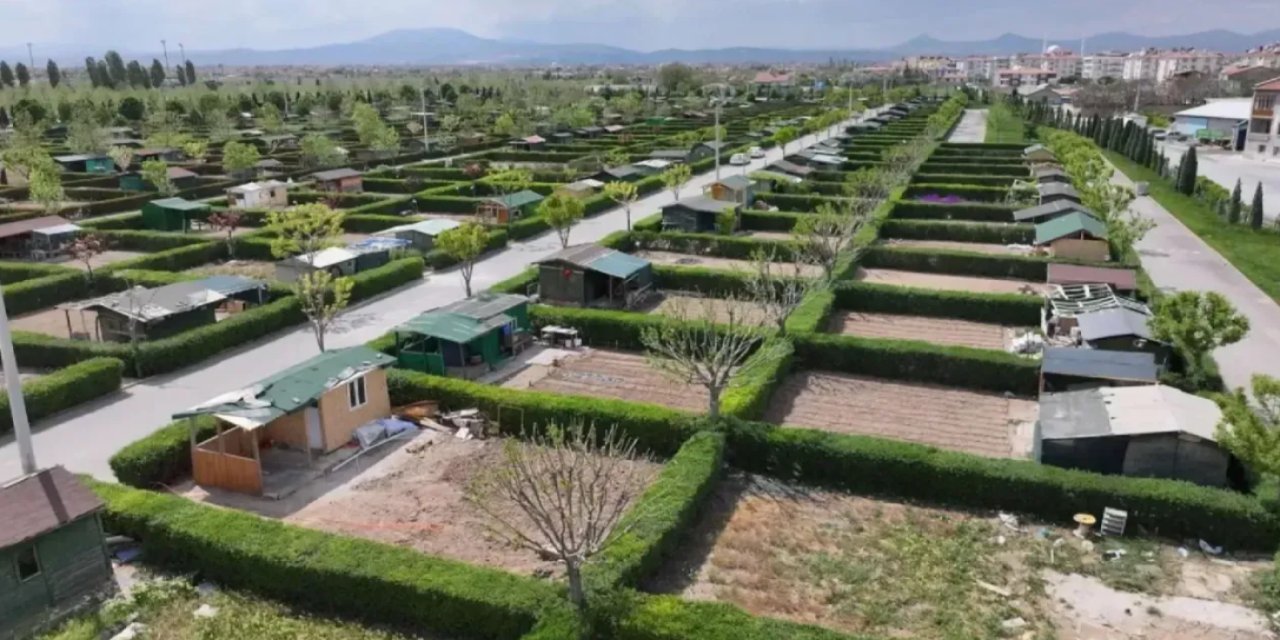 Cumhurbaşkanı Hobi bahçeleri düzenlemesinde kararını verdi