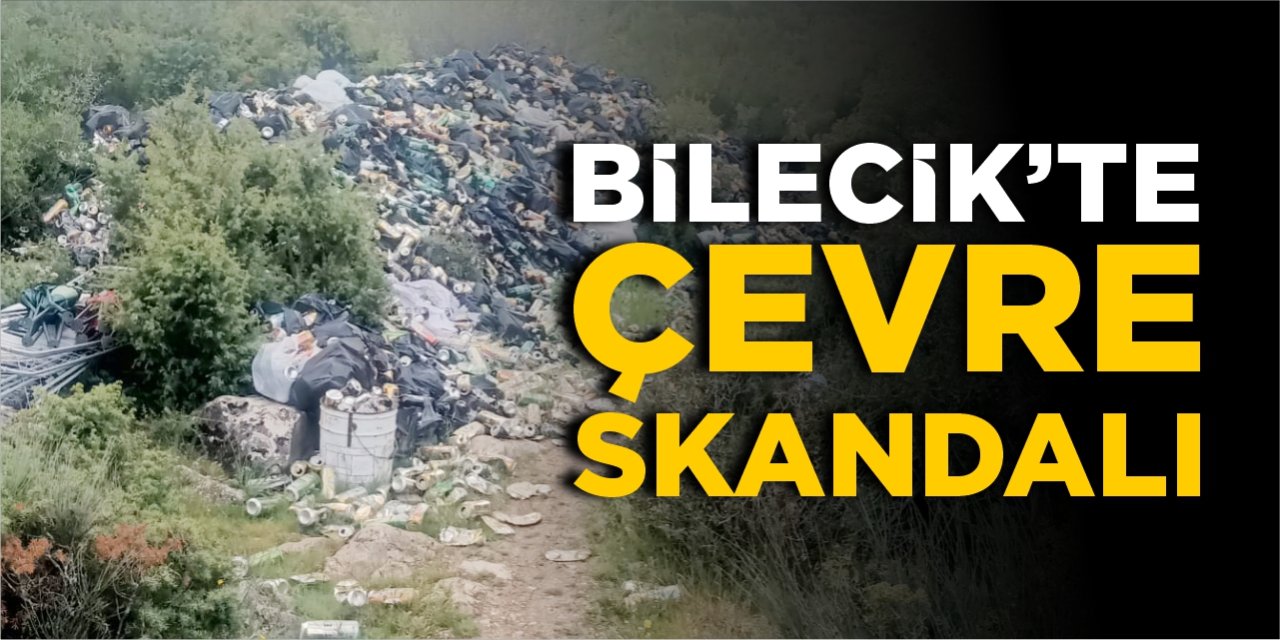 Bilecik’te çevre skandalı!
