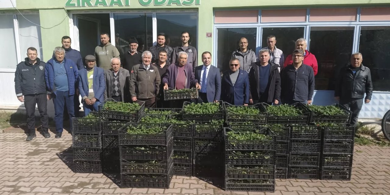 Yenipazar'da Tarıma Destek