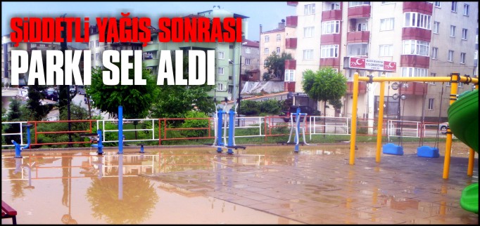 BİLECİK’TE ŞİDDETLİ YAĞIŞ SONRASI PARKI SEL ALDI