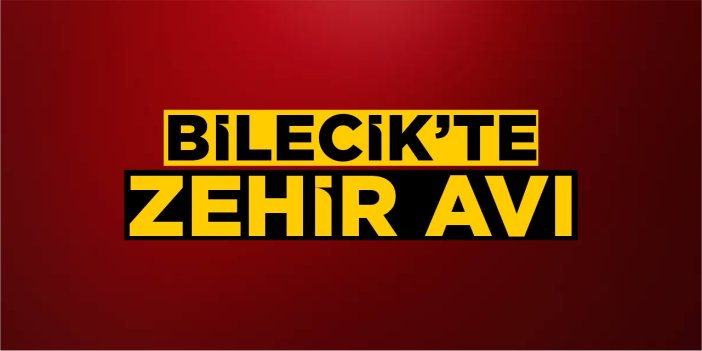 Bilecik'te zehir avı