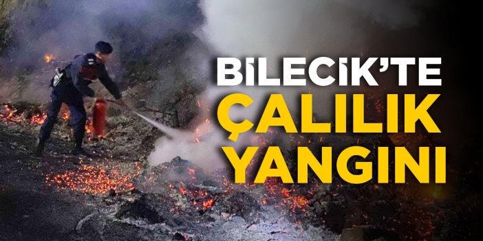 Bilecik’te çalılık yangını