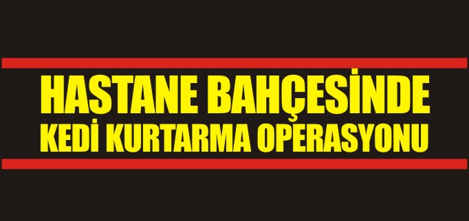 HASTANE BAHÇESİNDE KEDİ KURTARMA OPERASYONU