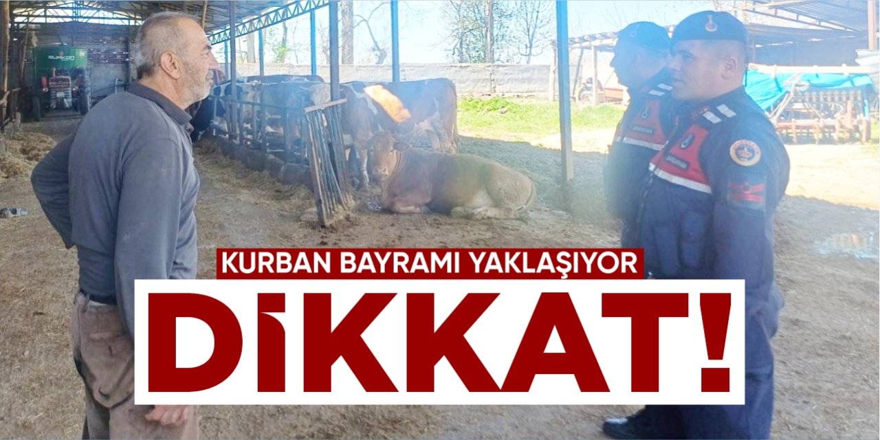 Kurban Bayramı yaklaşıyor: Hırsızlık ve dolandırıcılığa dikkat!