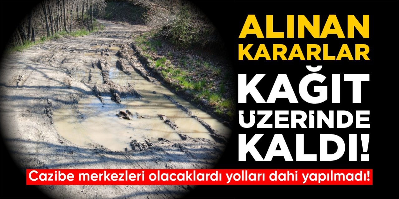 Alınan kararlar kağıt üzerinde kaldı!