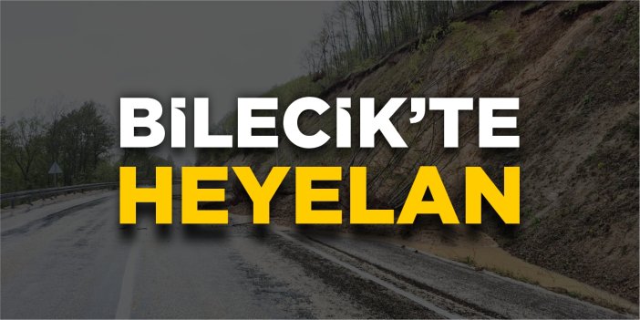 Bilecik'te heyelan