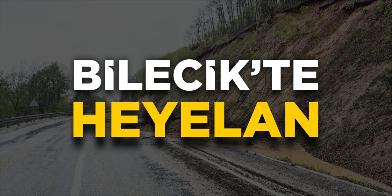 Bilecik'te heyelan