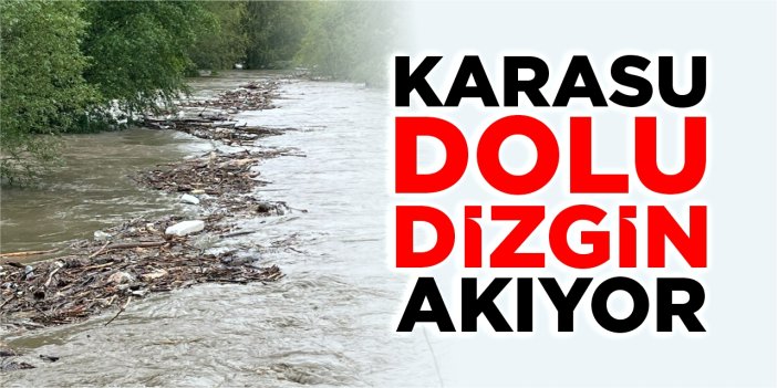 Karasu dolu dizgin akıyor
