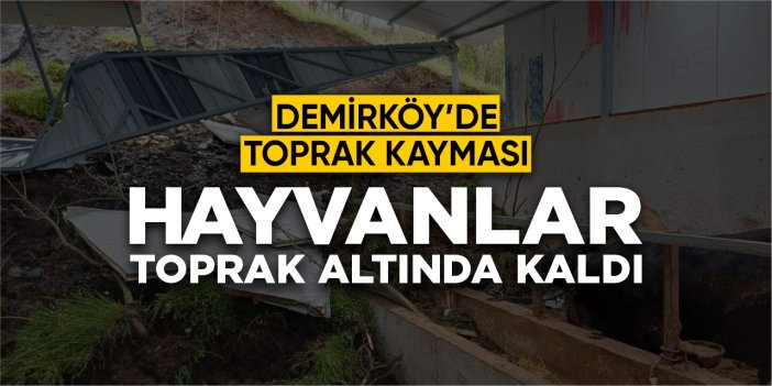 Demirköy’de toprak kayması: Hayvanlar toprak altında kaldı!