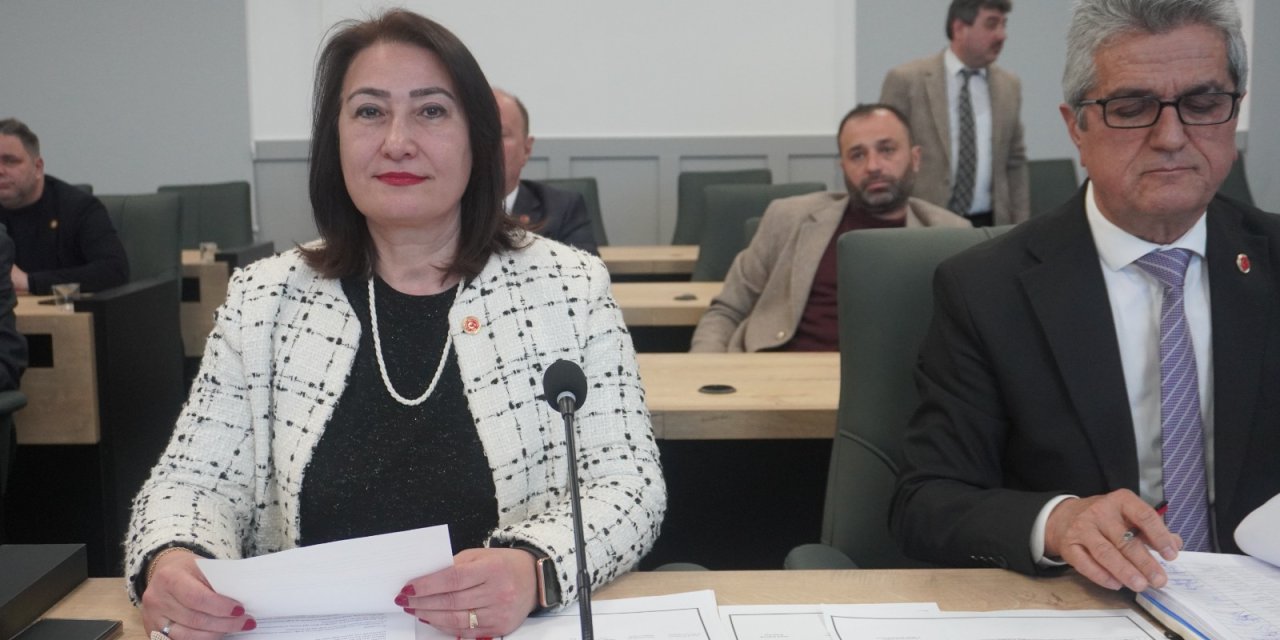 Nurcan Özçakır, Taş Ocaklarını Gündeme Getirdi