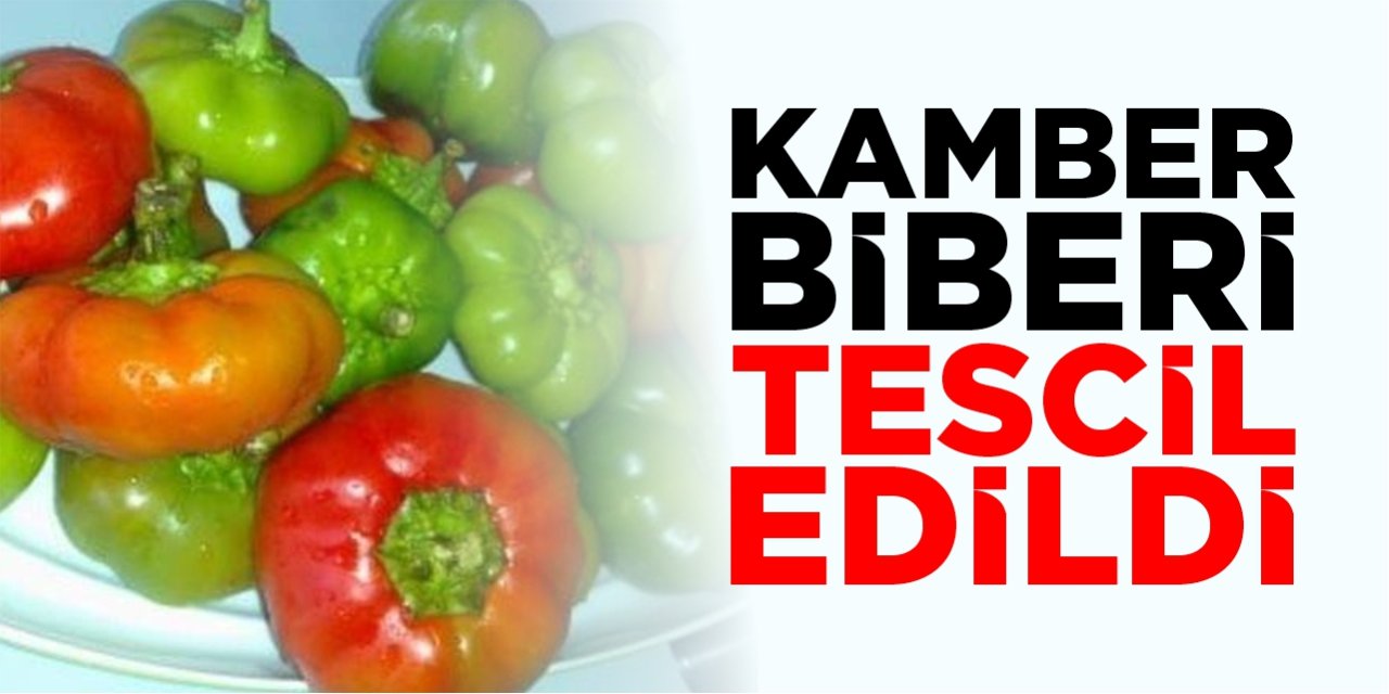 Kamber Biberi tescil edildi