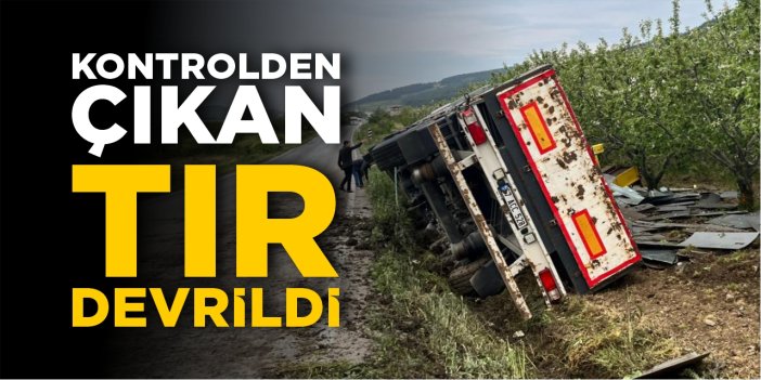 Kontrolden çıkan tır devrildi