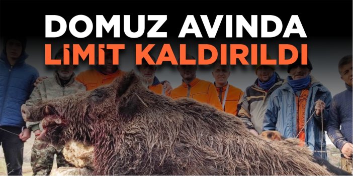 Domuz avında limit kaldırıldı