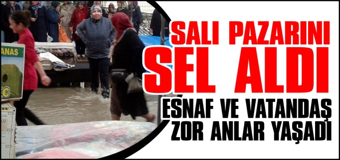 SALI PAZARINI SEL ALDI