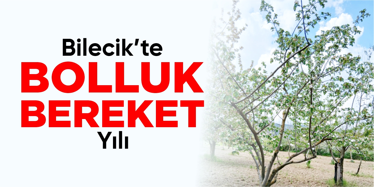 Bilecik’te bolluk bereket yılı