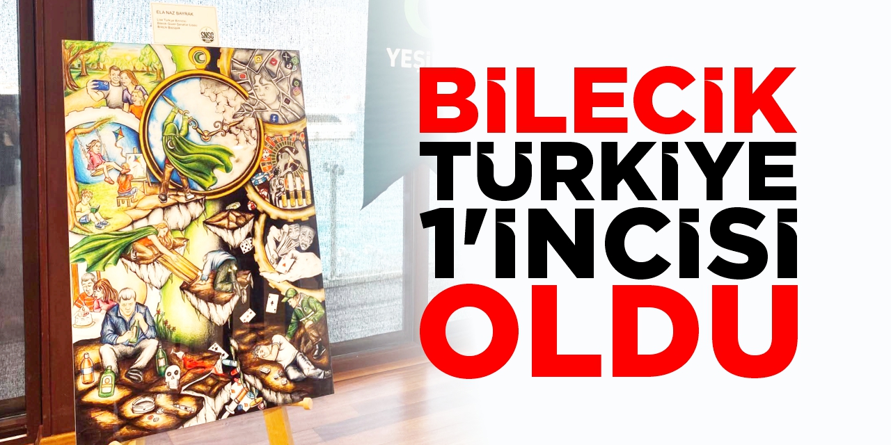 Bilecik Türkiye 1'incisi oldu