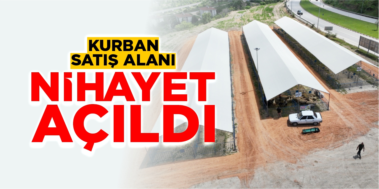 Bilecik’te kurban satış alanı nihayet açıldı