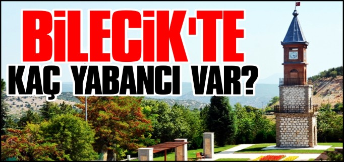 İLİMİZDE KAÇ YABANCI VAR?