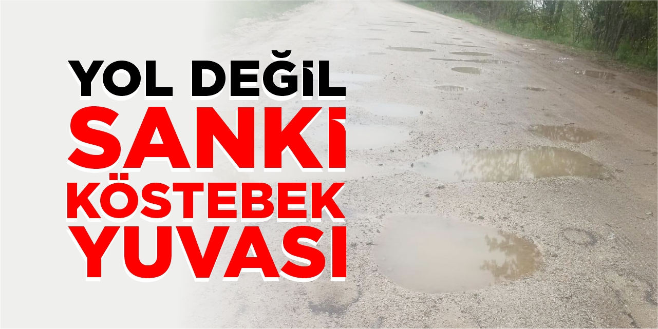 Yol değil sanki köstebek yuvası!