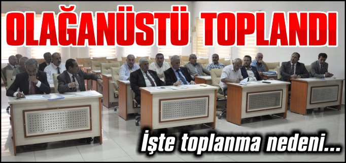 İL GENEL MECLİSİ OLAĞANÜSTÜ TOPLANDI