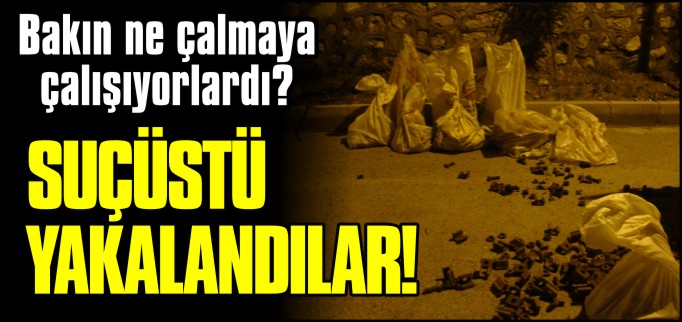 HIRSIZLAR SUÇÜSTÜ YAKALANDI