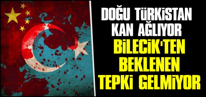 DOĞU TÜRKİSTAN KAN AĞLIYOR BİLECİK’TEN BEKLENEN TEPKİ GELMİYOR