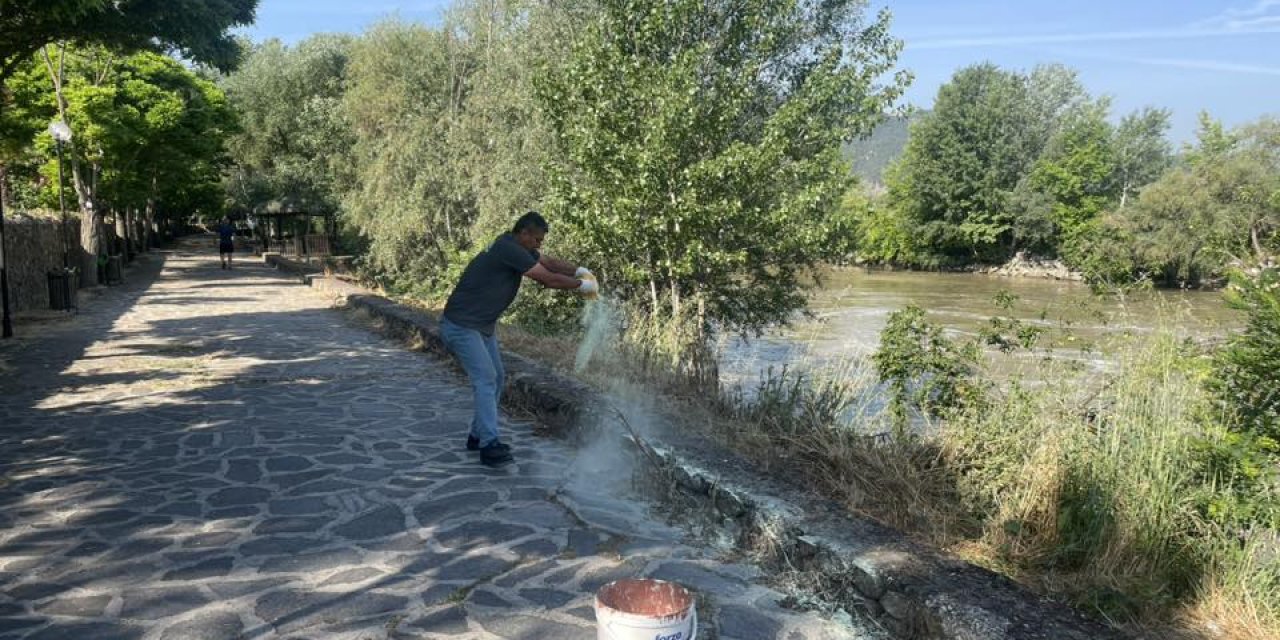 Sakarya Nehri Alanında İlaçlama Çalışması