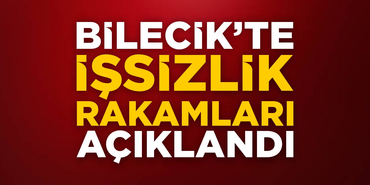 Bilecik’te işsizlik rakamları belli oldu