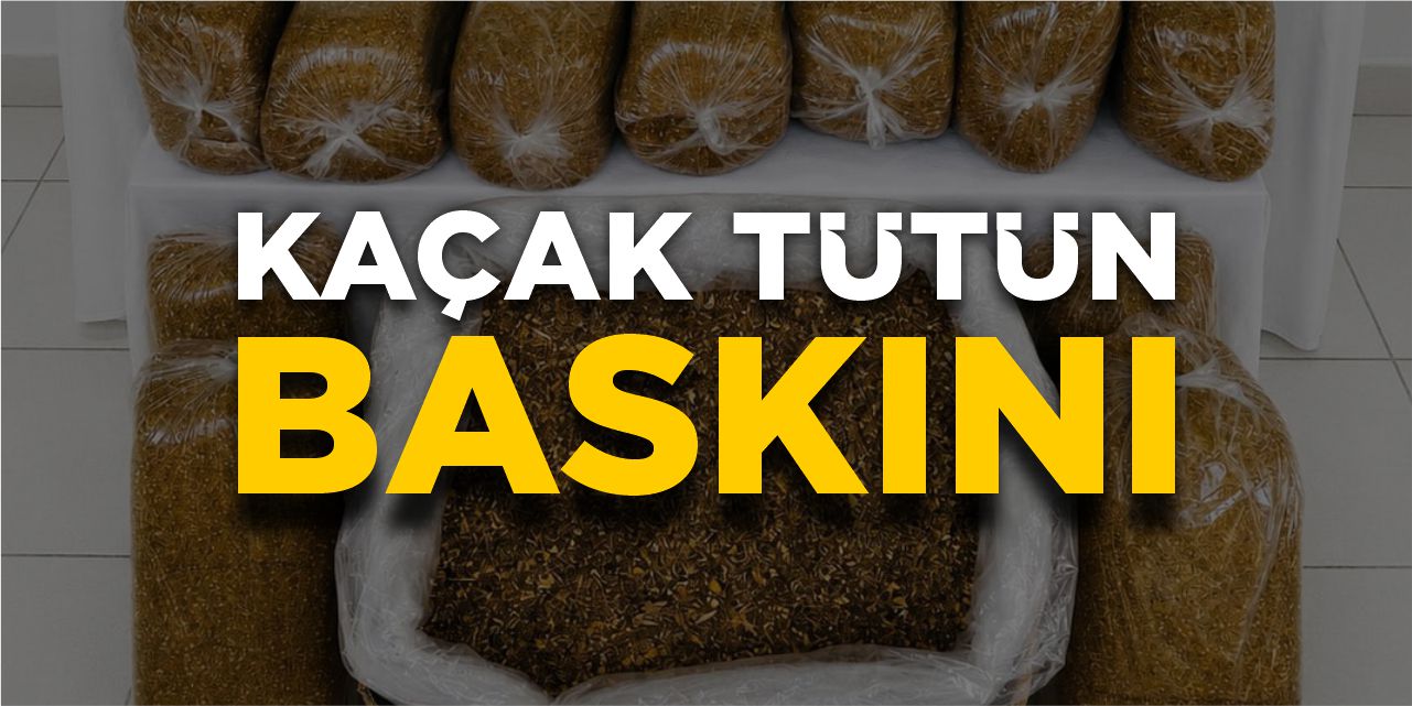 Gölpazarı’nda kaçak tütün baskını