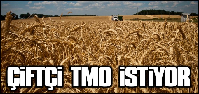 ÇİFTÇİ TMO İSTİYOR