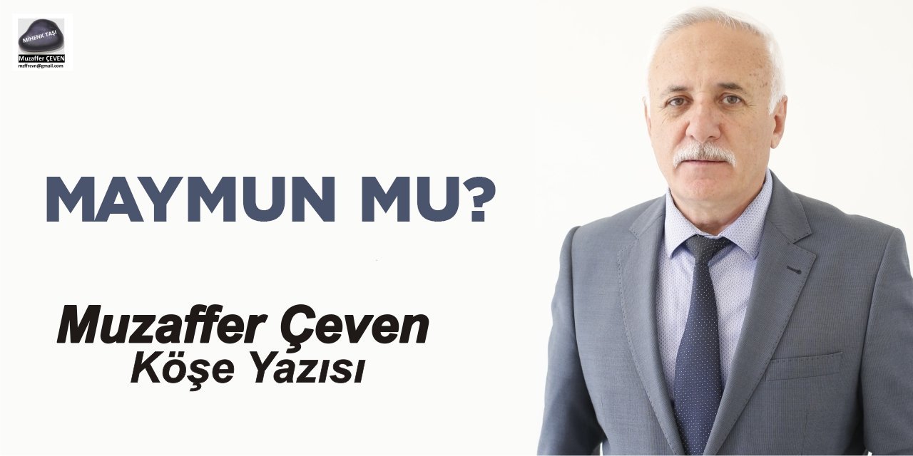 MAYMUN MU?